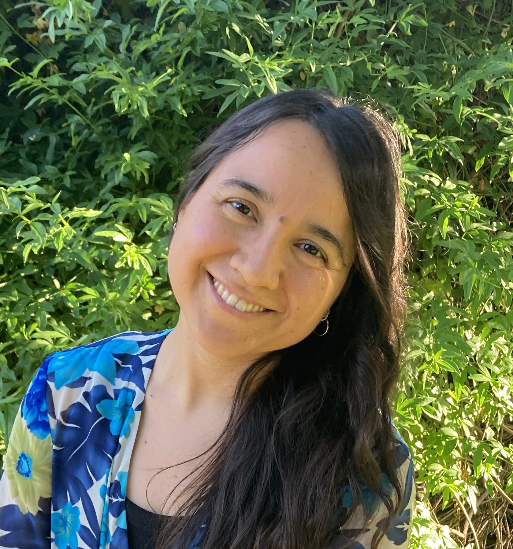 Foto de Fransa Aravena